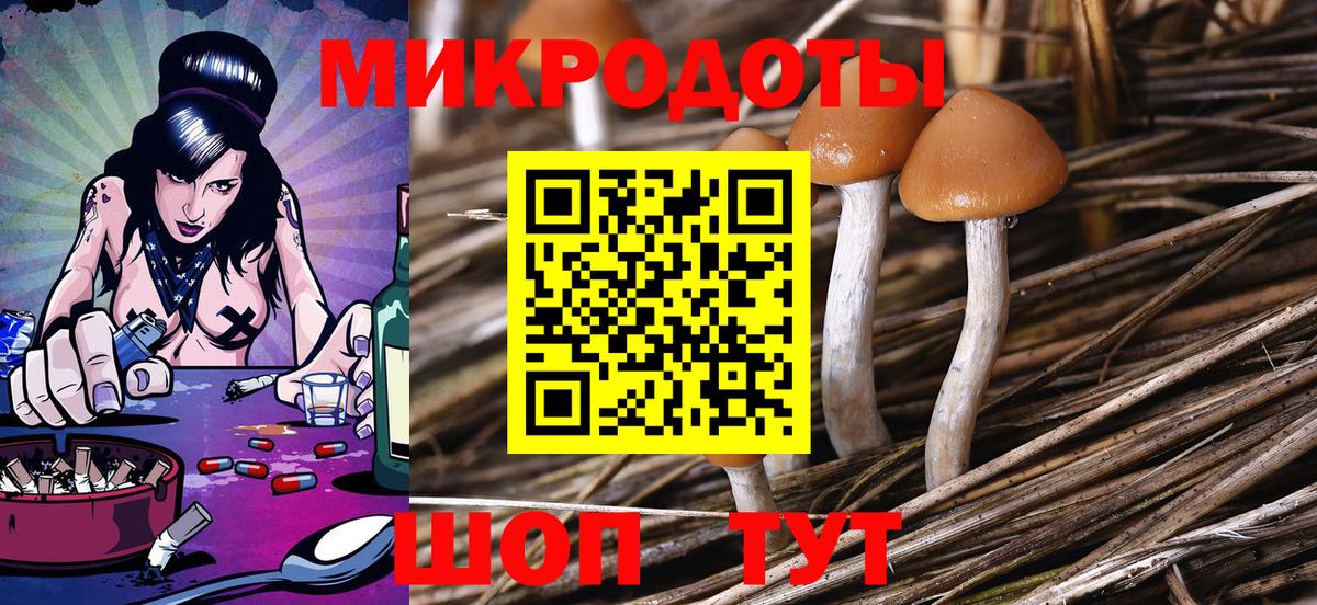 Псилоцибиновые грибы мухоморы Саранск