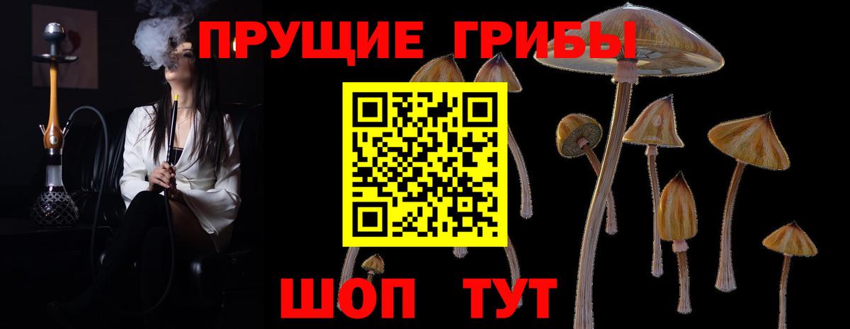 Саранск  Галлюциногенные грибы Psilocybine cubensis  Вход с VPN  Псилоцибиновые грибы GOLDEN TEACHER 